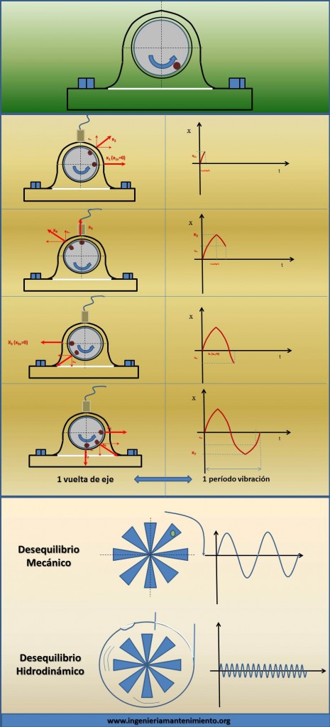 infografia con ejemplo de movimiento armonico simple