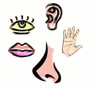 check list de mantenimiento sensorial